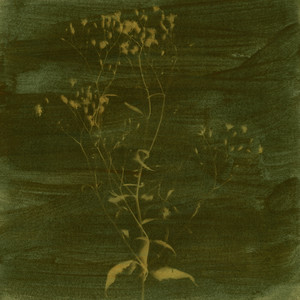 before we leave this place (voice memo)