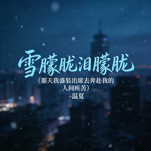 雪朦胧泪朦胧 (那天我盛装出席去奔赴我的人间疾苦)