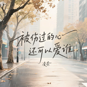 被伤过的心还可以爱谁-凌奈