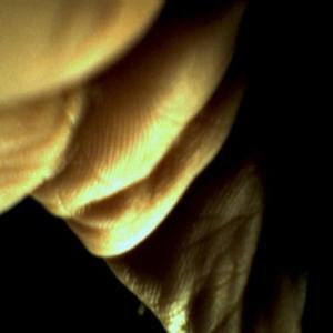 OCP - Nausea (Explicit)