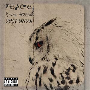 Peace (feat. NXRTHGVNG) [Explicit]