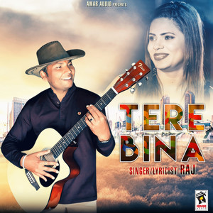 Tere Bina