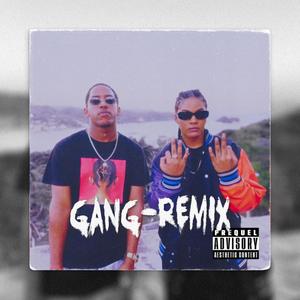 GANG (feat. Metanol07)