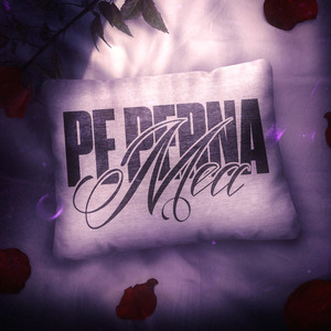 Pe Perna Mea