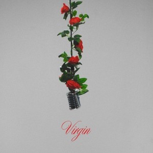 Virgin (Explicit)