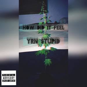 How'd Did it Feel (Explicit)