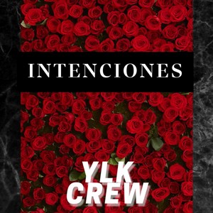 INTENCIONES Crew
