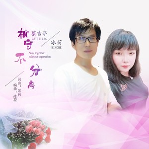 相守不分离 (DJ版)