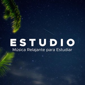 Estudio (Universidad y Escuela) : Musica Relajante para Estudiar con los Sonidos de la Naturaleza