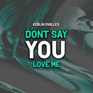 Don`t Say You Love Me (COVER版)