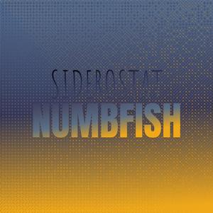 Siderostat Numbfish