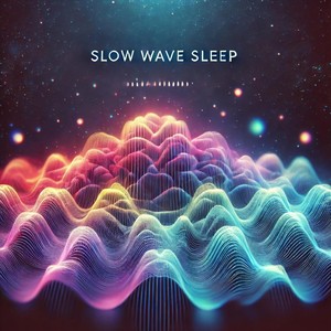 Slow Wave Sleep