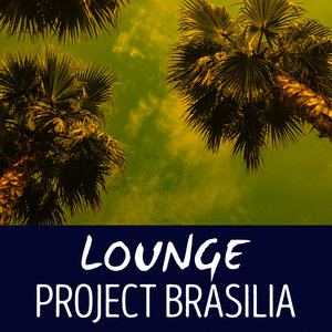 Brazilian Lounge Project - This Is Not New York