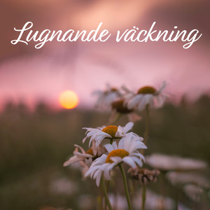 Lugnande väckning