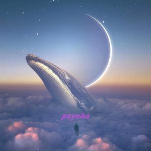 Dave-Psycho (Stanko木头人 remix)