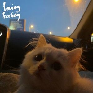 loving feeling
