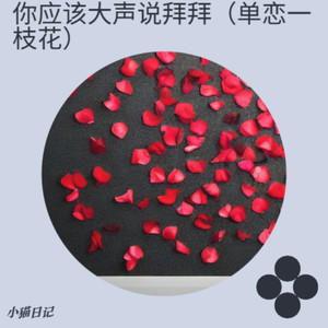 你应该大声说拜拜（单恋一枝花）