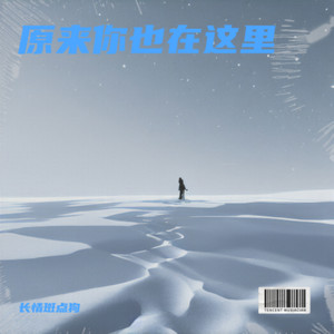 原来你也在这里（请允许我尘埃落定）