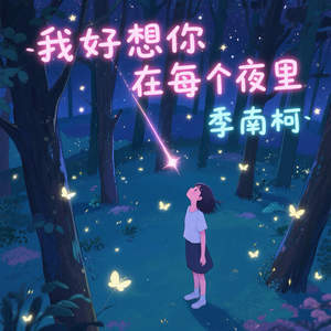 我好想你在每个夜里