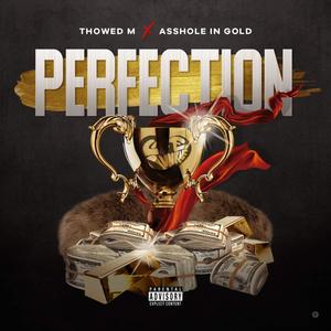 Perfection(feat. Asshole In Gold) (Explicit)
