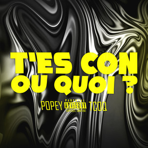 T'es con ou quoi ? (Explicit)