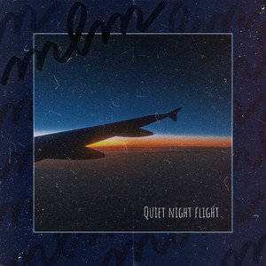 Quiet night flight