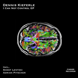 I Can Not Control (Original Mix)