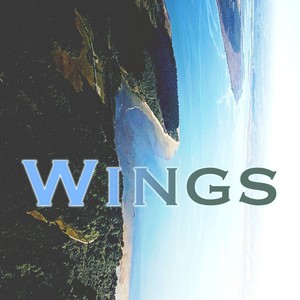 Wings (날개)