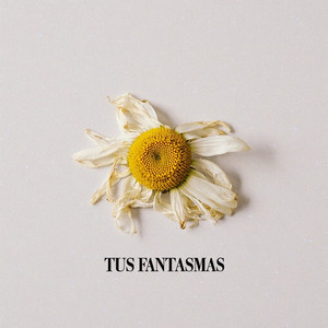TUS FANTASMAS