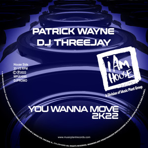 You Wanna Move 2k22 (Jackin House Dub)