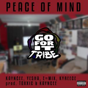 Peace of Mind (feat. Kayncee) (Instrumental)