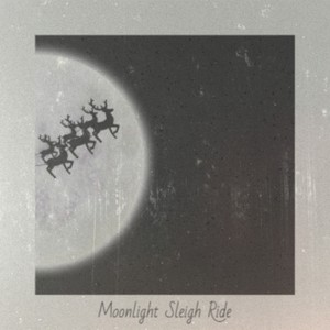 Moonlight Sleigh Ride