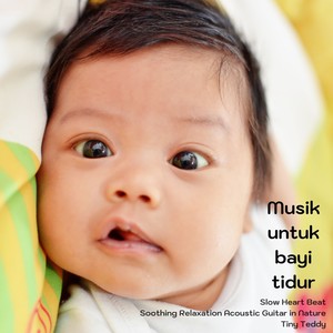 Musik untuk bayi tidur