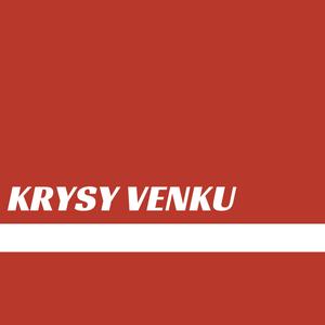 Krysy venku (feat. ANGLES) [Explicit]