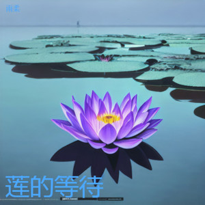 莲的等待
