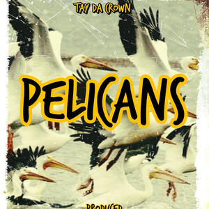 Pelicans (Explicit)