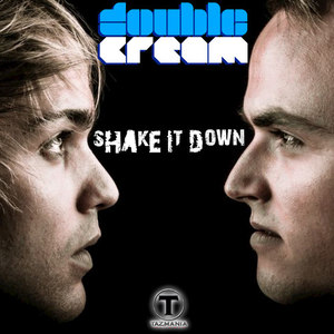 Shake It Down - Single