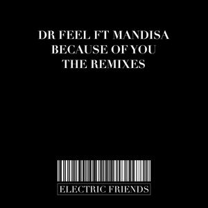 Because Of You (Echo Deep Remix)
