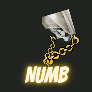 Numb (feat. Villain J) (Explicit)