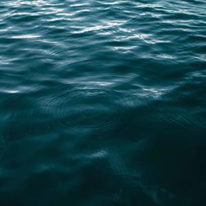 Higher Self Harmonies