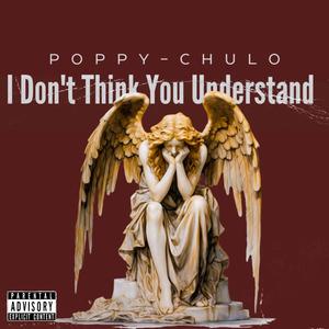 I Don't Think You Understand (Explicit)