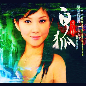 认真的雪-林子路