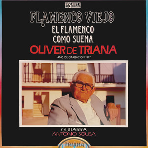 Martinete de Cagancho