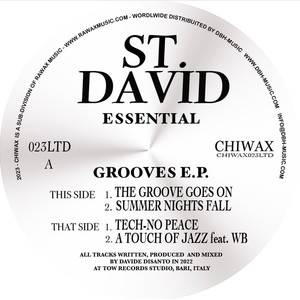 THE GROOVE GOES ON (Original Mix)