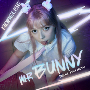 Mr.Bunny (Remix)