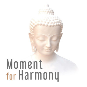 Moment for Harmony - Striking Balance Body and Mind, Quiet Music for Thoughts, Cool Way to Free Time