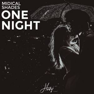 One Night(feat. Shades)