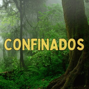 Confinados