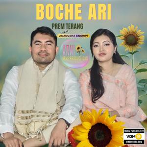 Boche Ari