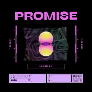 Promise